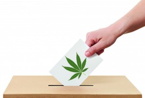 GreenWay Florida Poll Found Majority Support for Medical Marijuana